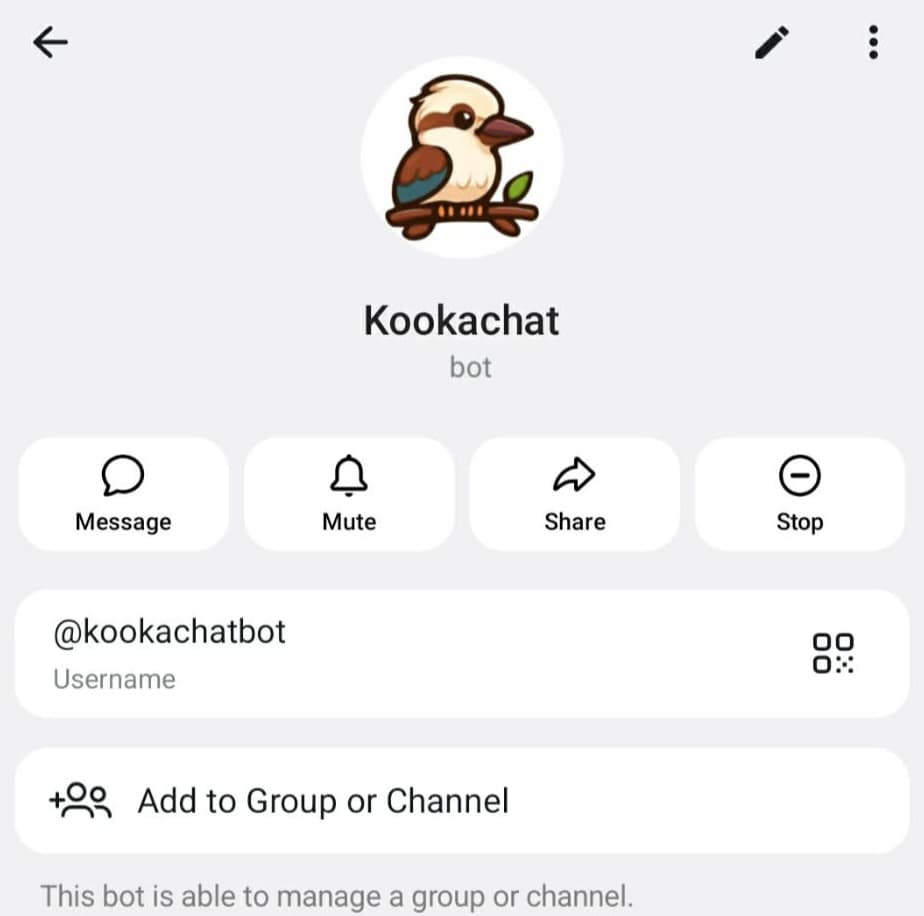KookaChat - an Interview Assistant Bot in Telegram